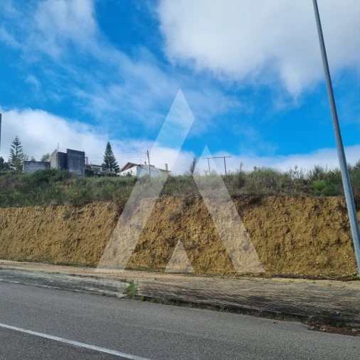 Terreno para Venda em Santa Clara e Castelo Viegas Foto 5