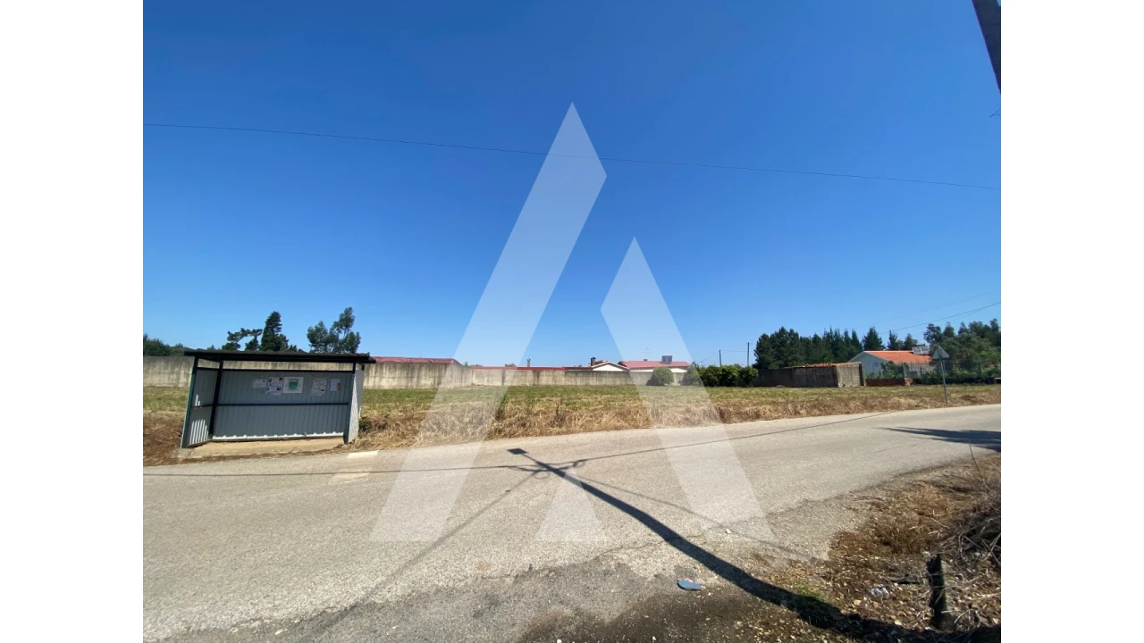 Terreno para Venda em Avelãs de Cima Foto 2