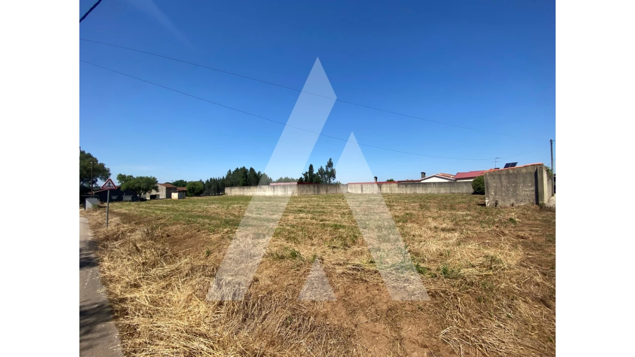 Terreno para Venda em Avelãs de Cima Foto 3