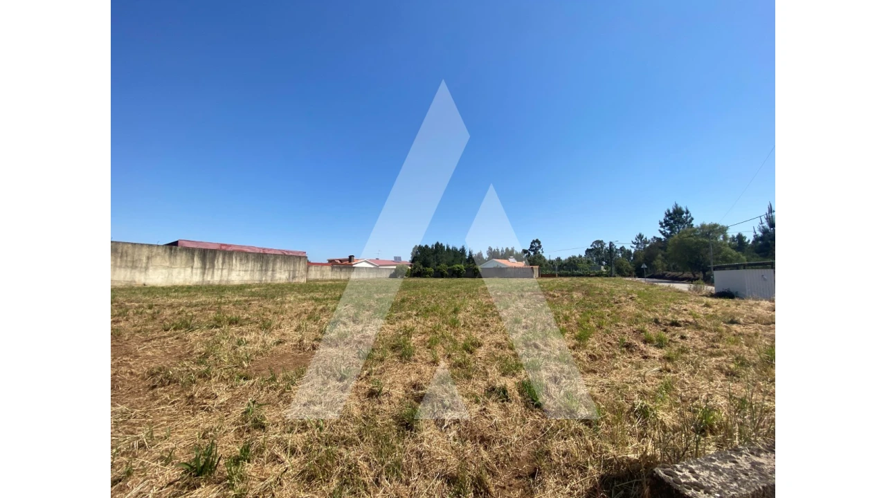 Terreno para Venda em Avelãs de Cima Foto 5