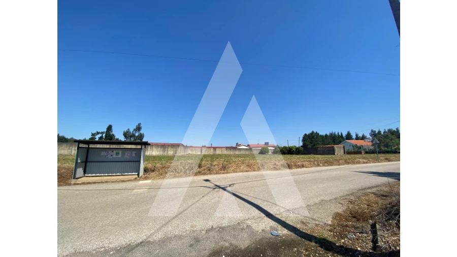Terreno para Venda em Avelãs de Cima Foto 2