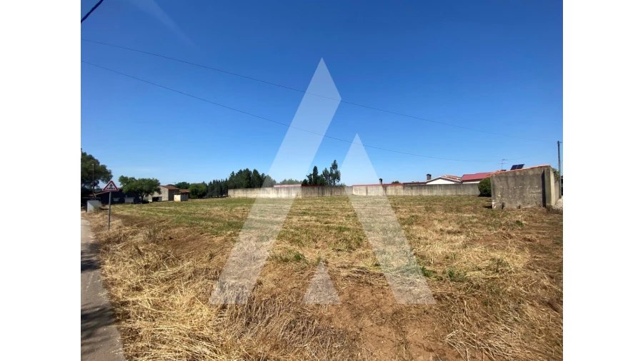 Terreno para Venda em Avelãs de Cima Foto 3