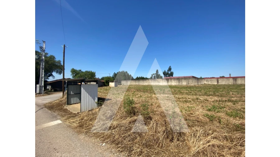 Terreno para Venda em Avelãs de Cima Foto 4