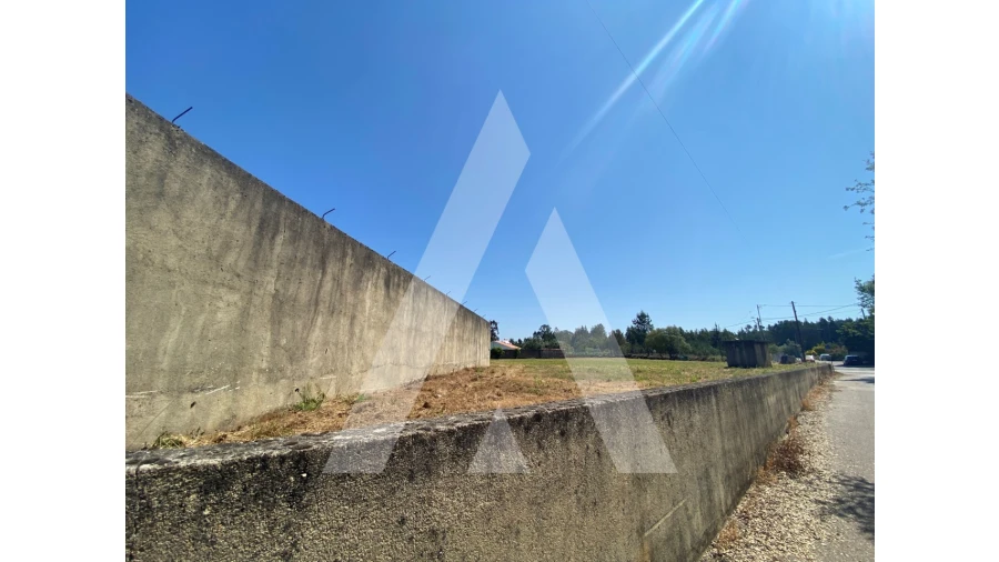 Terreno para Venda em Avelãs de Cima Foto 6