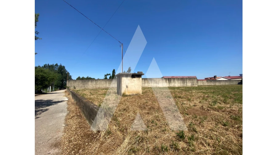Terreno para Venda em Avelãs de Cima Foto 7