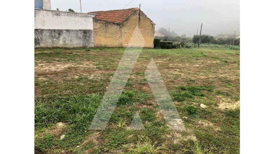 Terreno para Venda em Amoreira da Gândara, Paredes do Bairro e Ancas Foto 3