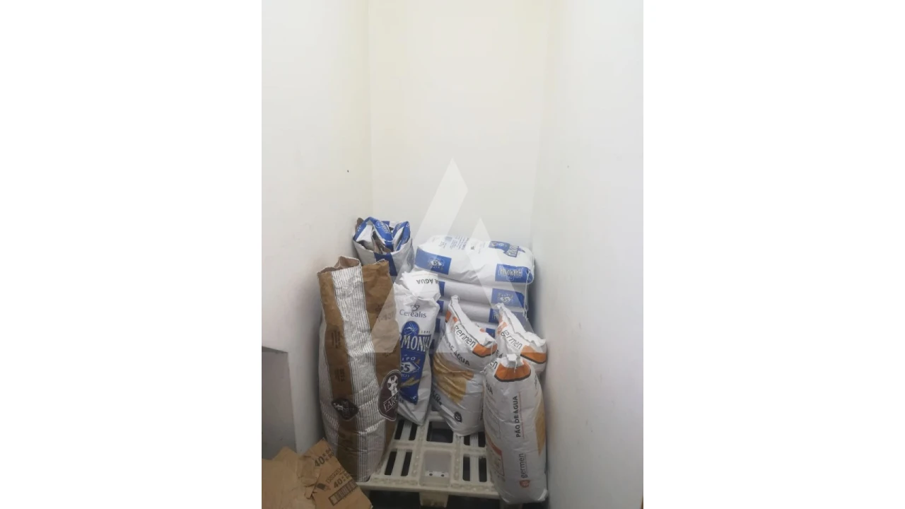 Negócio para Venda em Avelãs de Caminho Foto 9