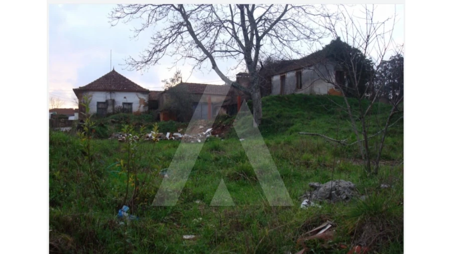 Terreno para Venda em Alquerubim Foto 2