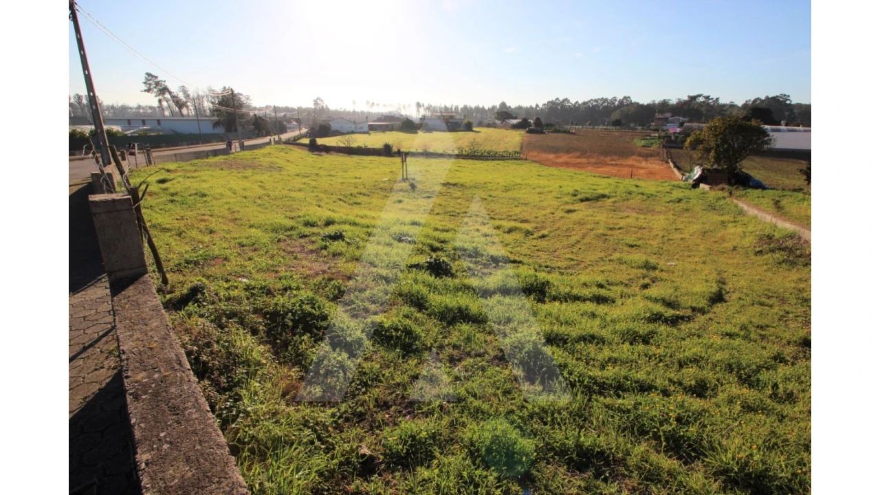 Terreno para Venda em Ouca Foto 4