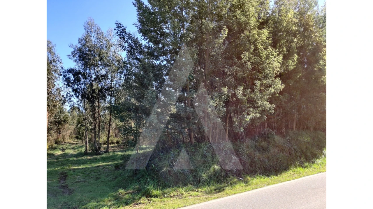 Terreno para Venda em Alquerubim Foto 5