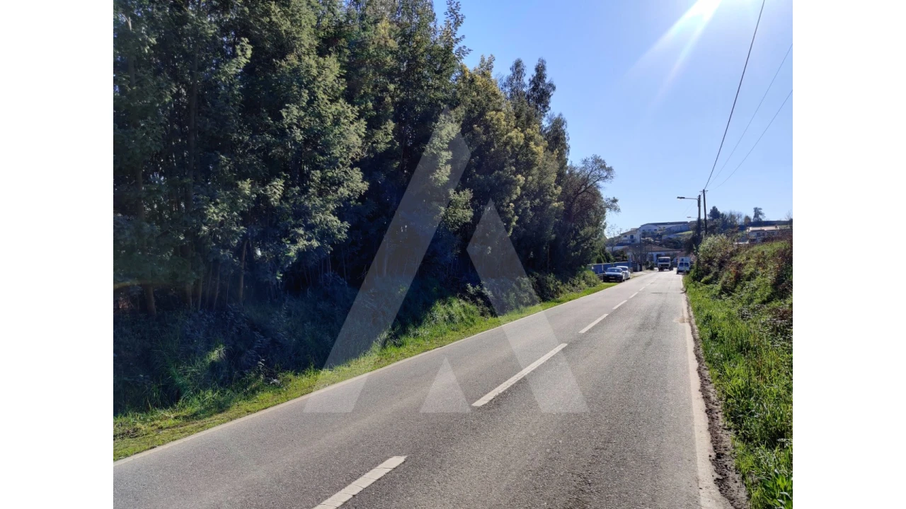 Terreno para Venda em Alquerubim Foto 8