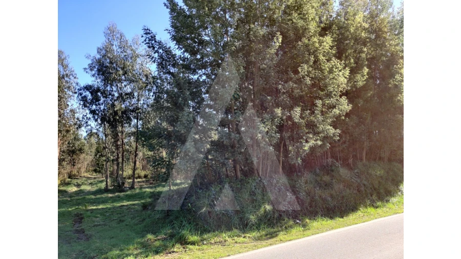 Terreno para Venda em Alquerubim Foto 5