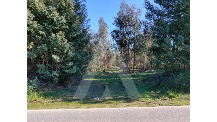 Terreno para Venda em Alquerubim Foto 7