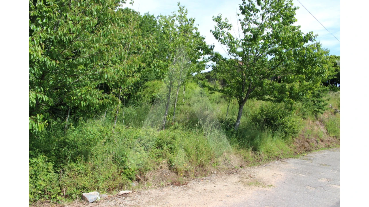 Terreno para Venda em Travassô e Óis da Ribeira Foto 3