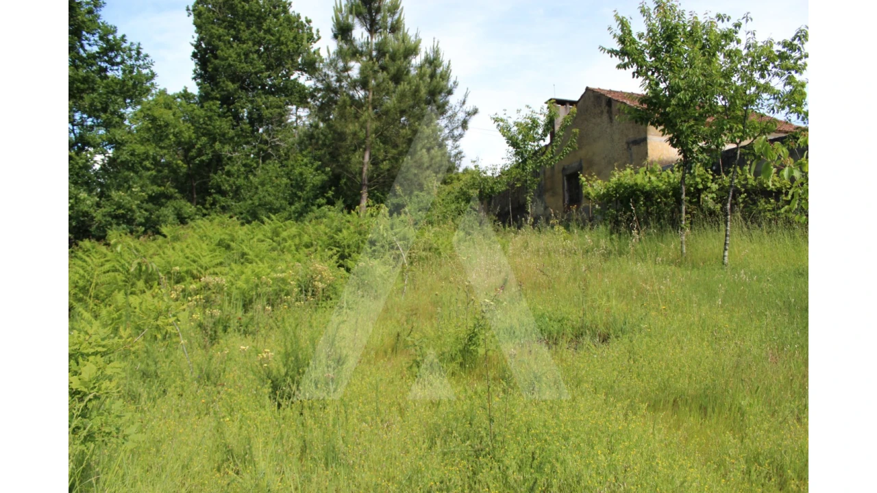 Terreno para Venda em Travassô e Óis da Ribeira Foto 4