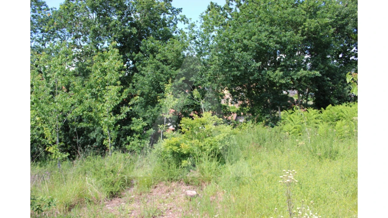 Terreno para Venda em Travassô e Óis da Ribeira Foto 7
