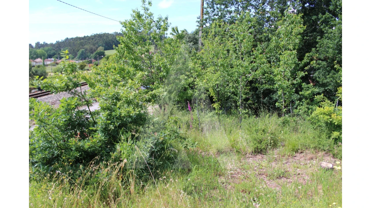 Terreno para Venda em Travassô e Óis da Ribeira Foto 9