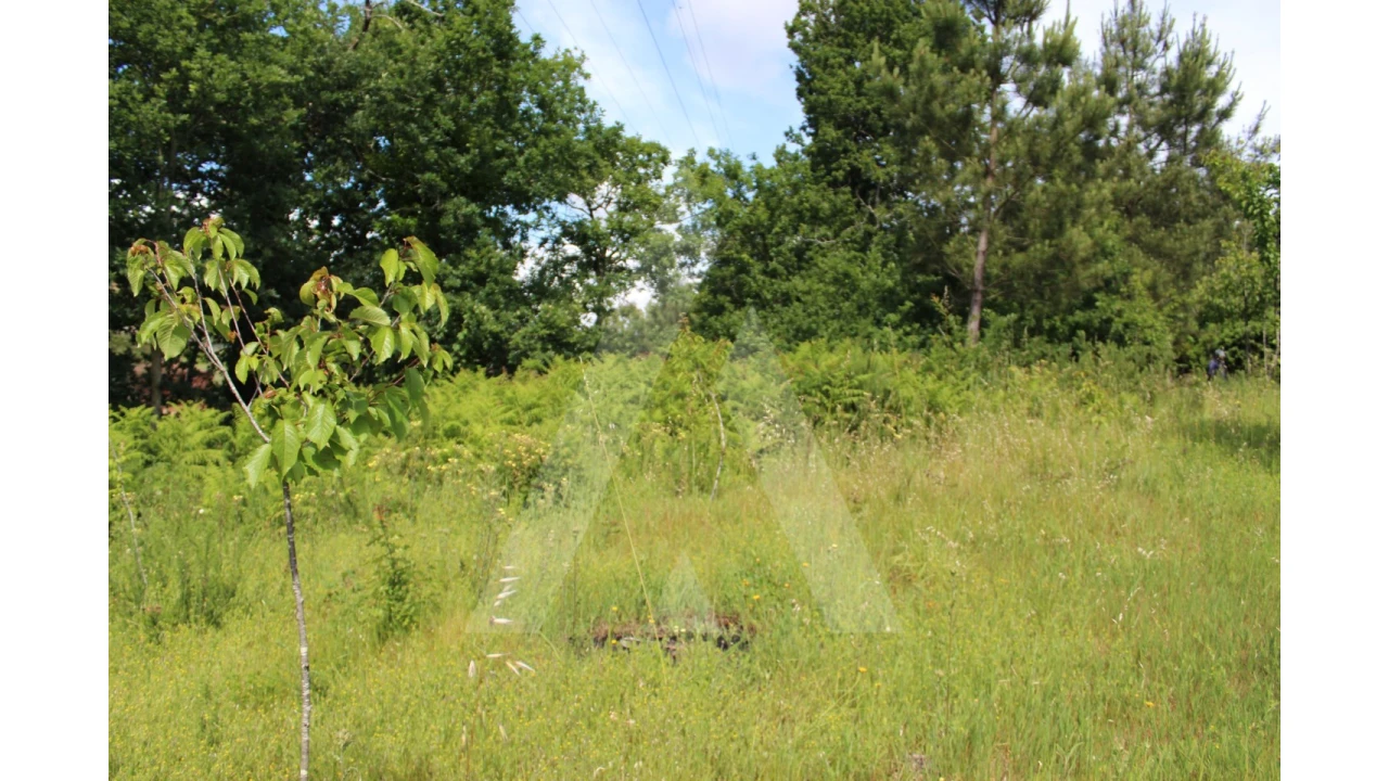 Terreno para Venda em Travassô e Óis da Ribeira Foto 10