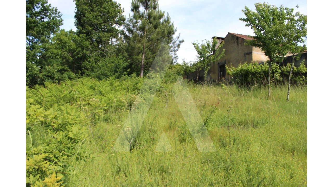 Terreno para Venda em Travassô e Óis da Ribeira Foto 12