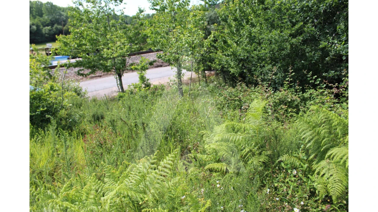 Terreno para Venda em Travassô e Óis da Ribeira Foto 13