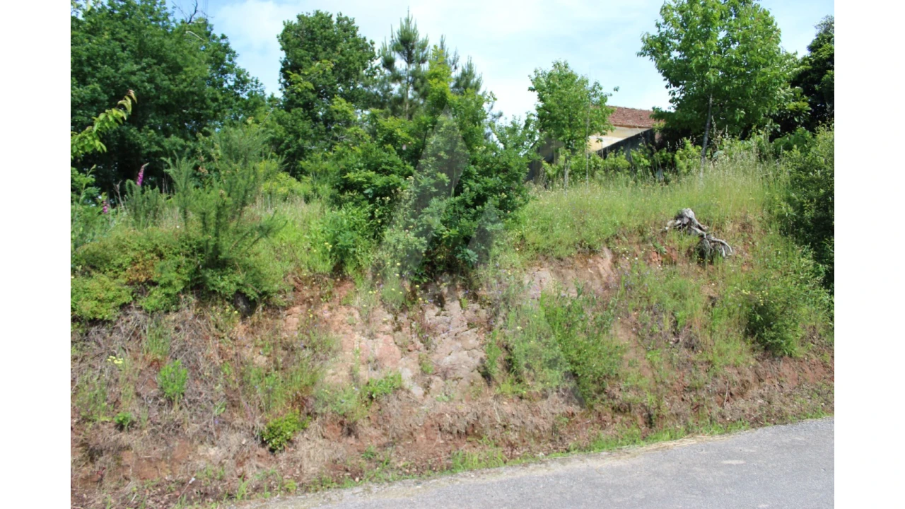 Terreno para Venda em Travassô e Óis da Ribeira Foto 16