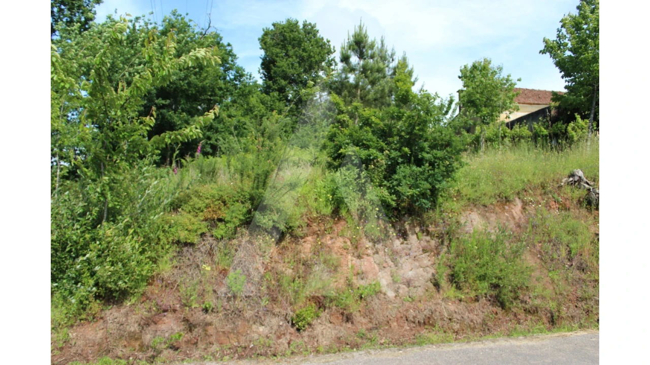 Terreno para Venda em Travassô e Óis da Ribeira Foto 19
