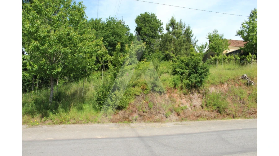 Terreno para Venda em Travassô e Óis da Ribeira