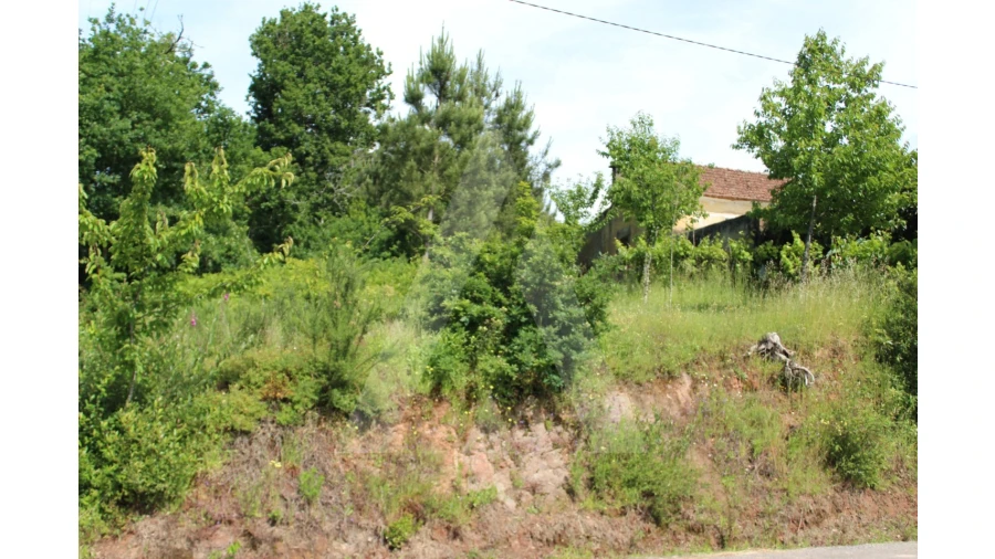 Terreno para Venda em Travassô e Óis da Ribeira Foto 2