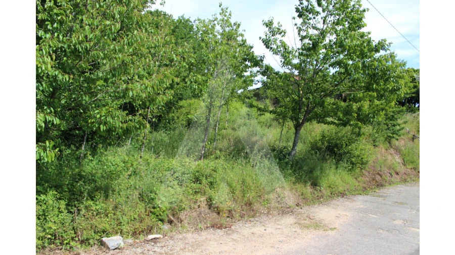 Terreno para Venda em Travassô e Óis da Ribeira Foto 3