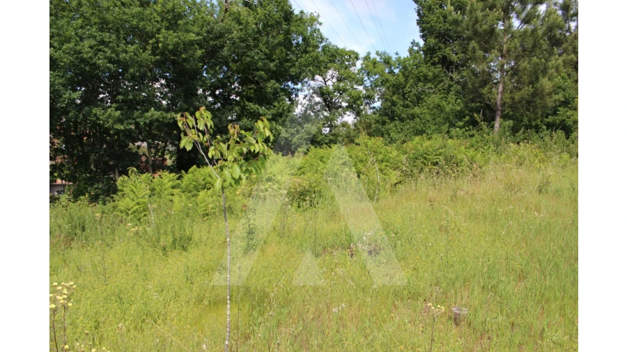 Terreno para Venda em Travassô e Óis da Ribeira Foto 6