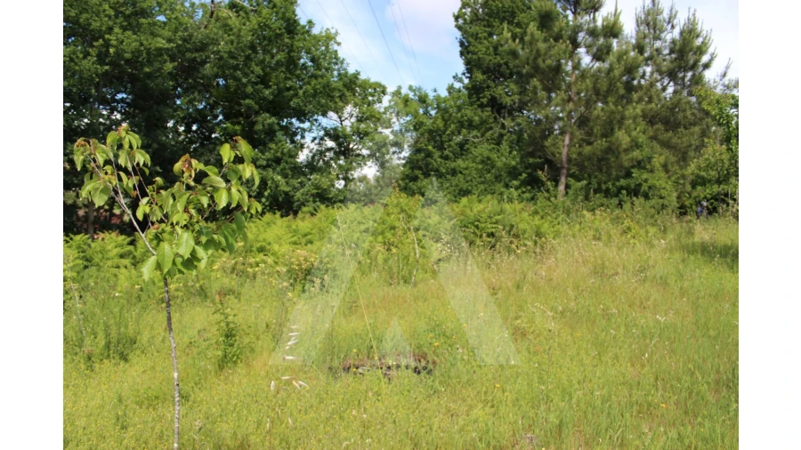 Terreno para Venda em Travassô e Óis da Ribeira Foto 10