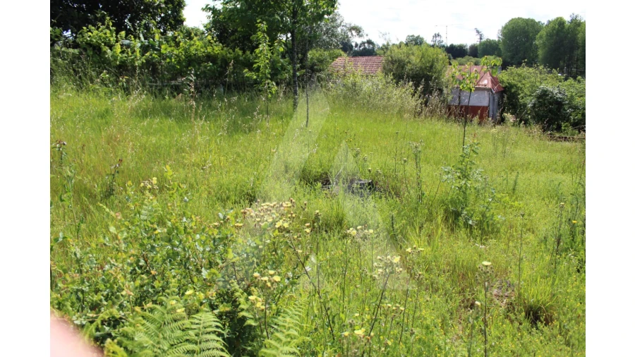 Terreno para Venda em Travassô e Óis da Ribeira Foto 11