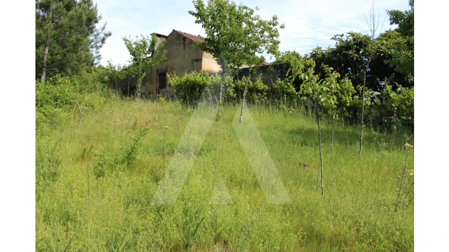 Terreno para Venda em Travassô e Óis da Ribeira Foto 14