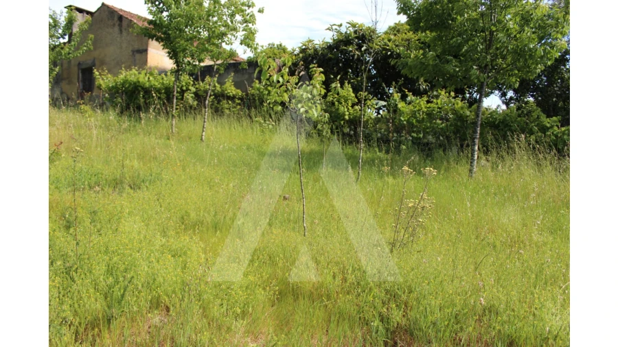 Terreno para Venda em Travassô e Óis da Ribeira Foto 15