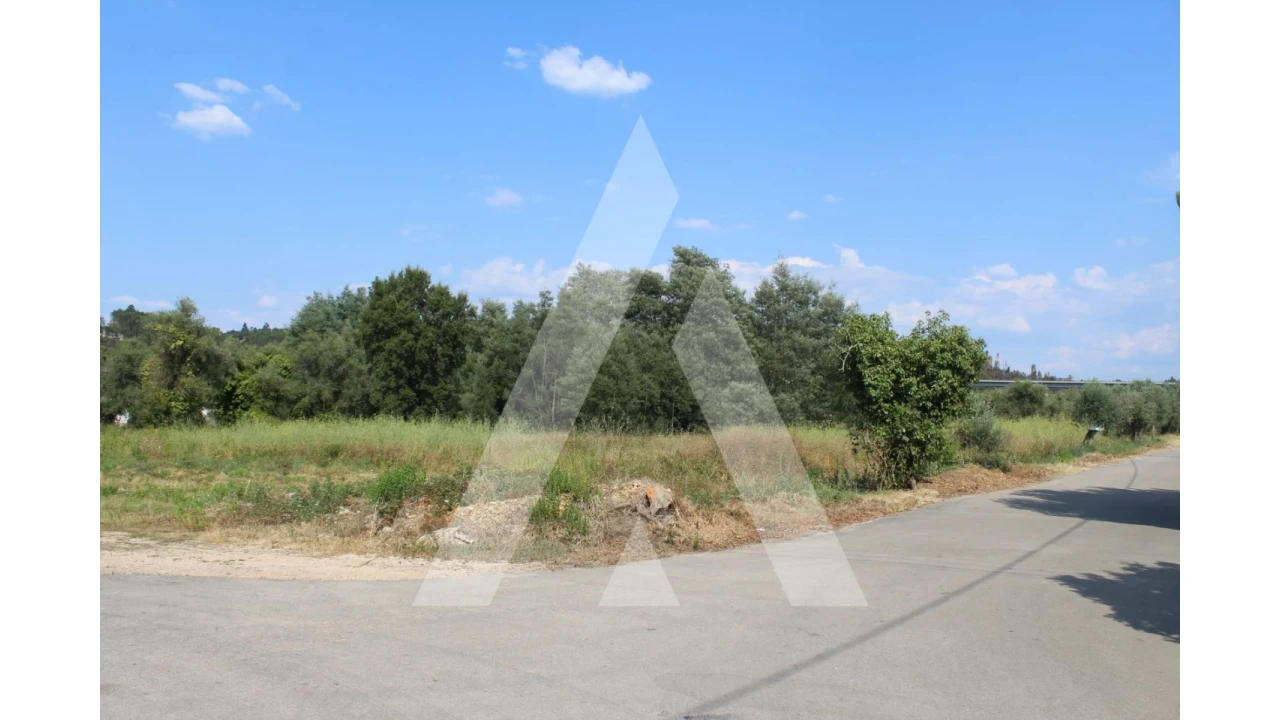 Terreno para Venda em Lousã e Vilarinho Foto 1