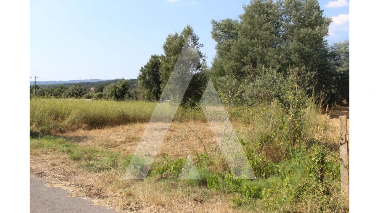 Terreno para Venda em Lousã e Vilarinho Foto 8