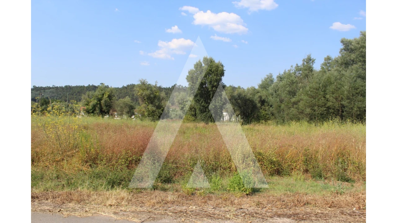 Terreno para Venda em Lousã e Vilarinho Foto 9