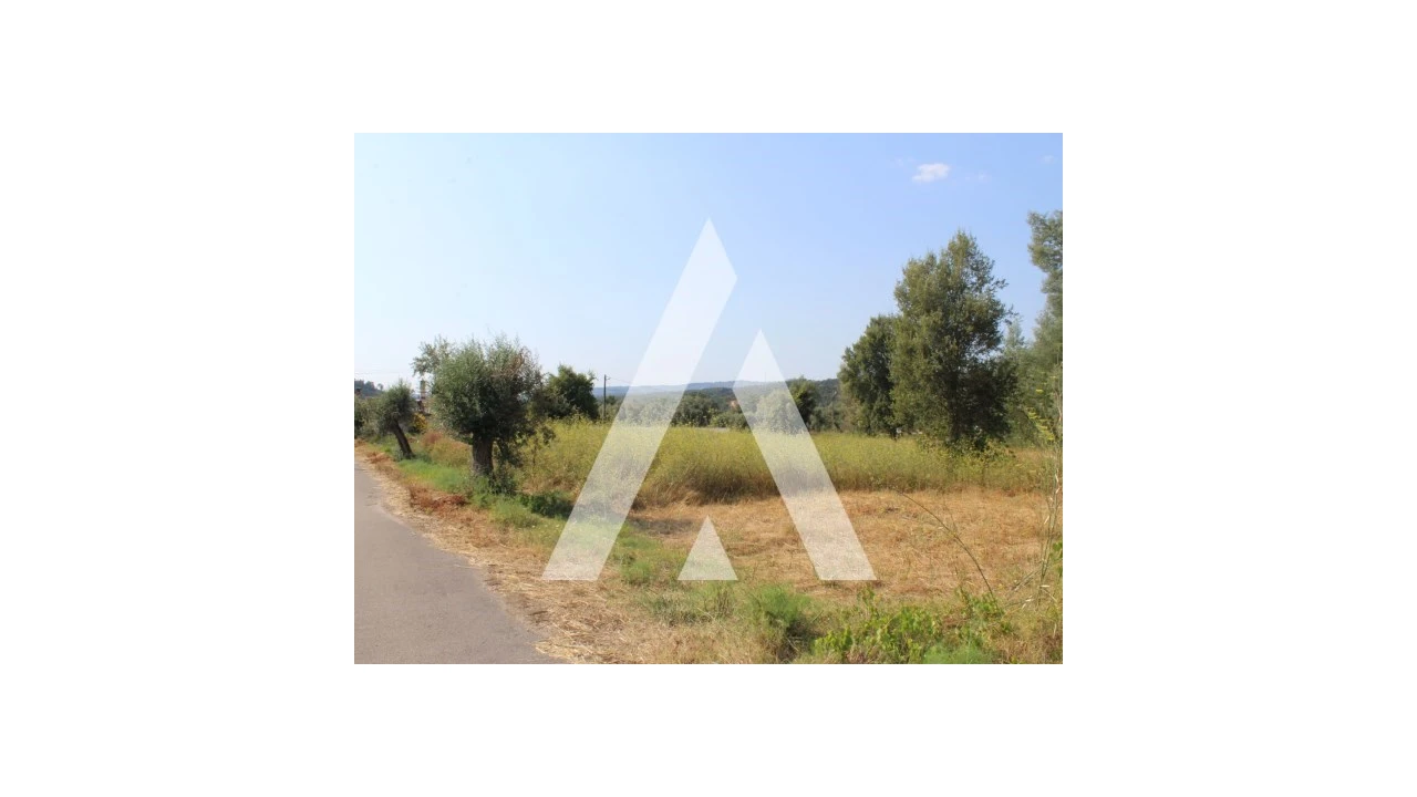 Terreno para Venda em Lousã e Vilarinho Foto 11