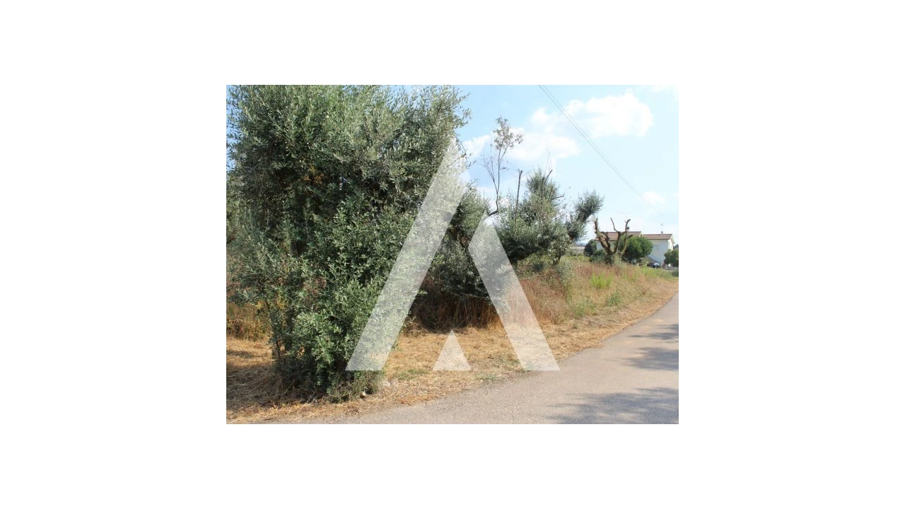 Terreno para Venda em Lousã e Vilarinho Foto 12