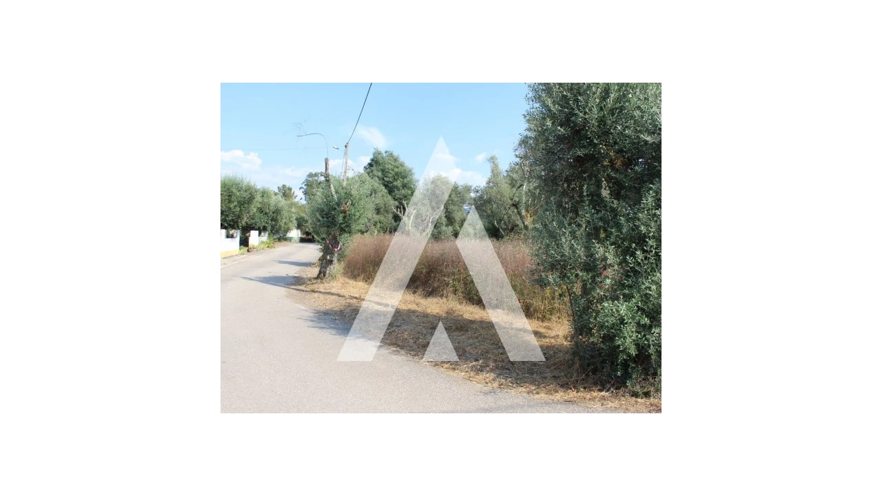 Terreno para Venda em Lousã e Vilarinho Foto 15