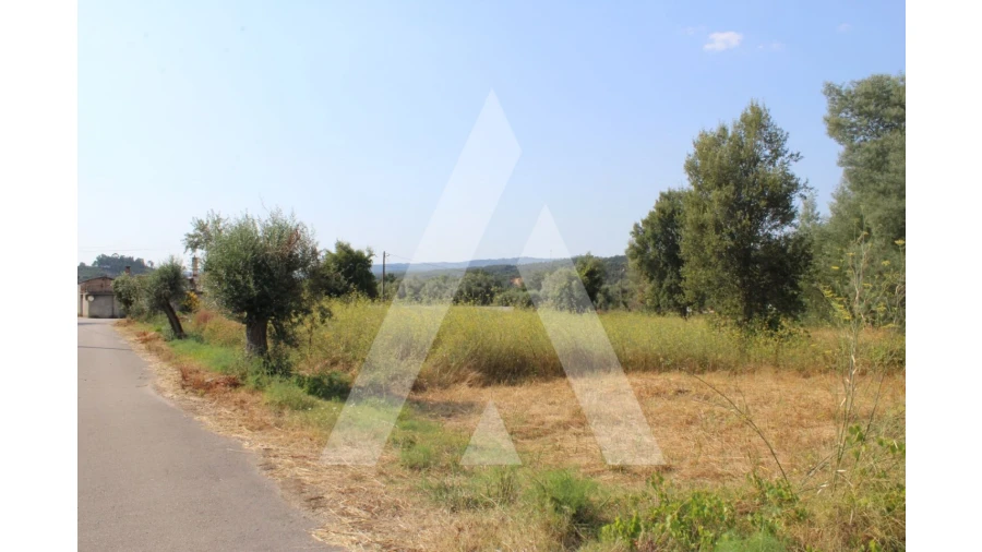 Terreno para Venda em Lousã e Vilarinho Foto 2