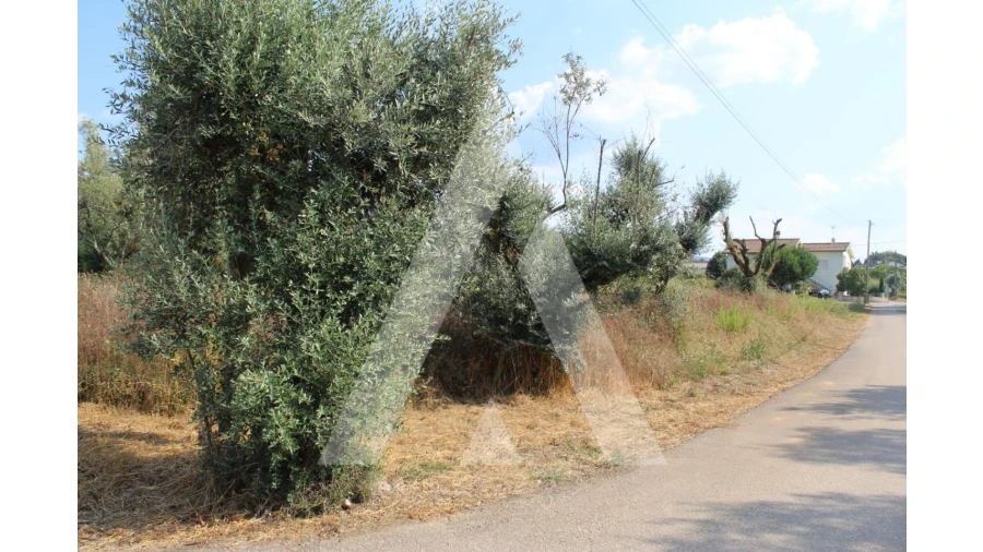 Terreno para Venda em Lousã e Vilarinho Foto 3