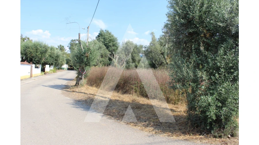 Terreno para Venda em Lousã e Vilarinho Foto 5