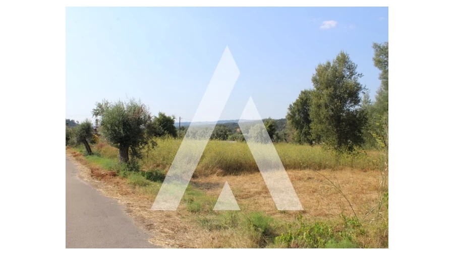 Terreno para Venda em Lousã e Vilarinho Foto 11