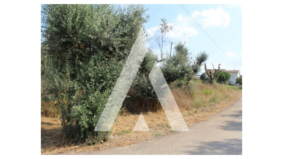 Terreno para Venda em Lousã e Vilarinho Foto 12
