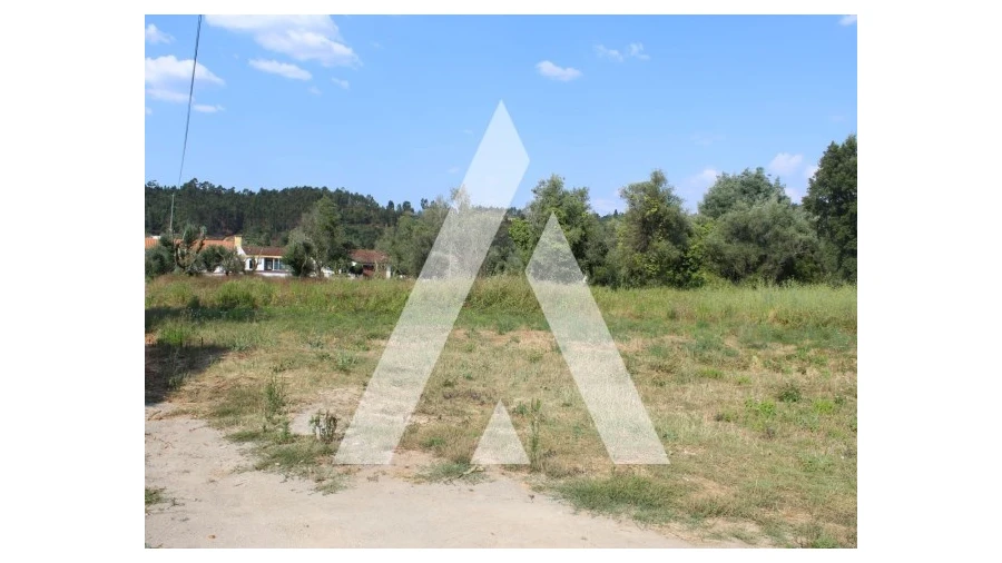 Terreno para Venda em Lousã e Vilarinho Foto 13