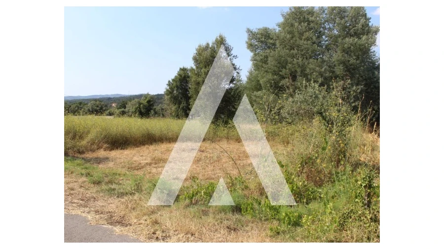 Terreno para Venda em Lousã e Vilarinho Foto 16