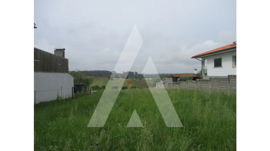 Terreno para Venda em Fermentelos