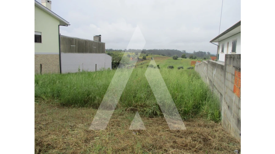 Terreno para Venda em Fermentelos Foto 2
