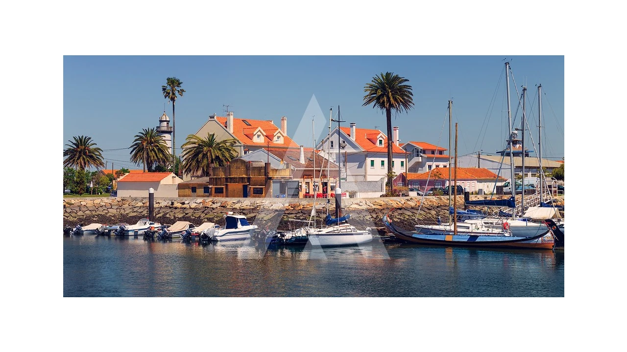 Terreno para Venda em Soza Foto 4